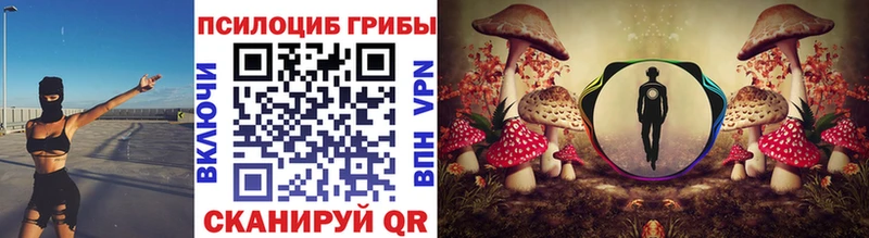 хочу   kraken ССЫЛКА  Псилоцибиновые грибы Psilocybe  Новотроицк 