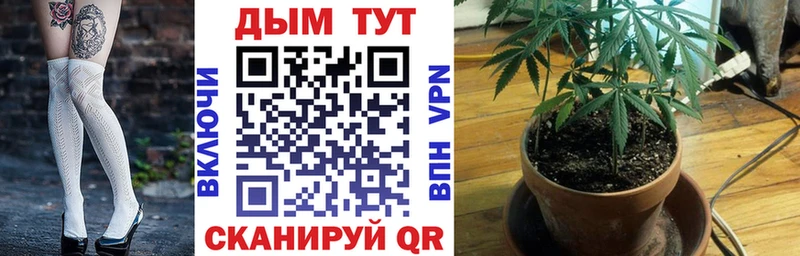 Канабис планчик  Новотроицк 